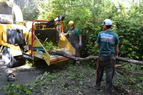 tree services Covina